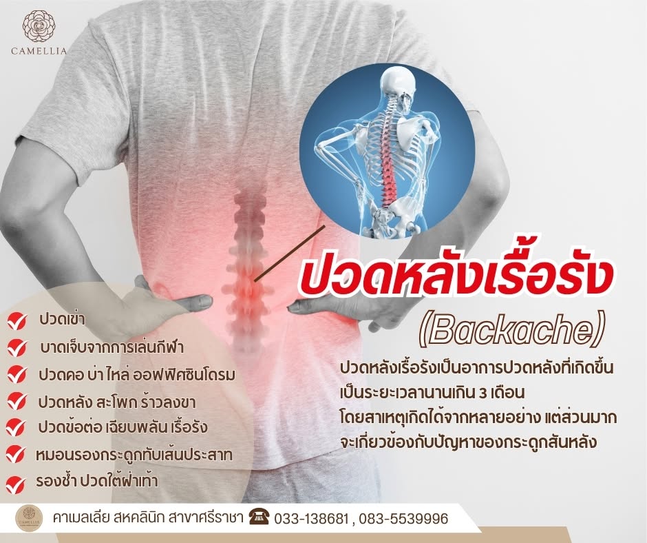 ปวดหลัง & ปวดคอ